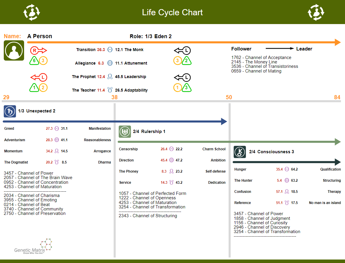 Human Design Life Chart