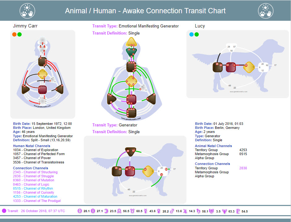 Chart Page Design