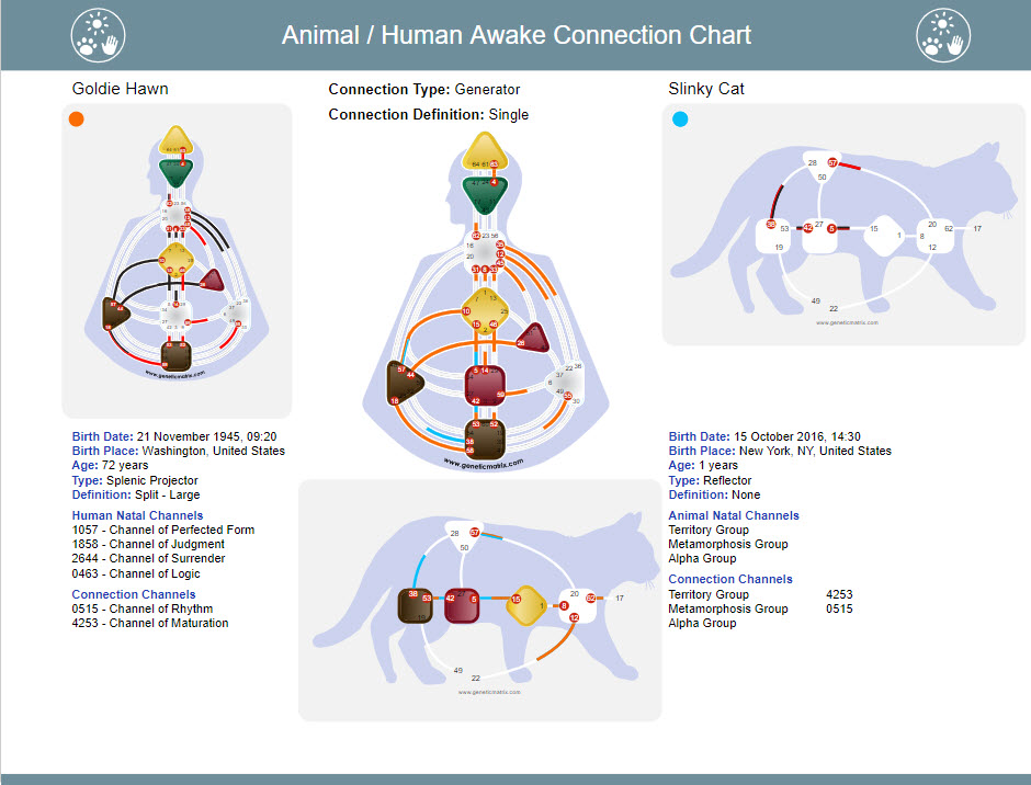 Human Chart